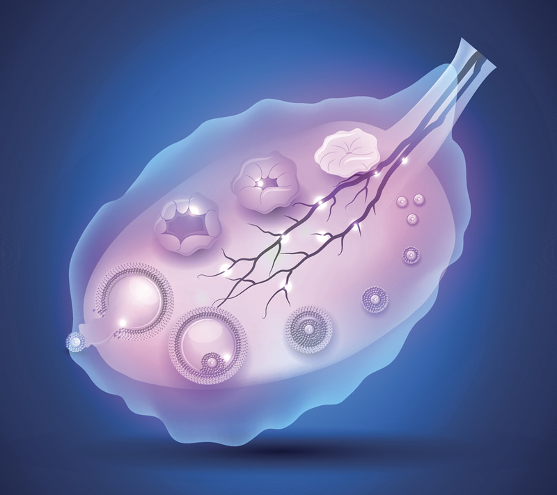 陕西三代试管助孕价格清单：2025年8万起步，费用明细清楚好选择